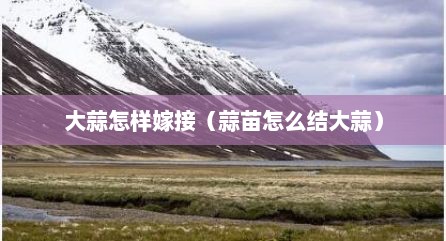 大蒜怎样嫁接（蒜苗怎么结大蒜）