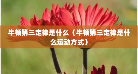 牛顿第三定律是什么（牛顿第三定律是什么运动方式）