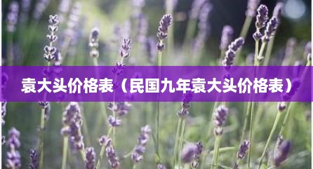 袁大头价格表（民国九年袁大头价格表）