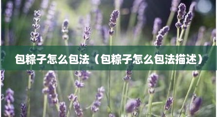 包粽子怎么包法（包粽子怎么包法描述）