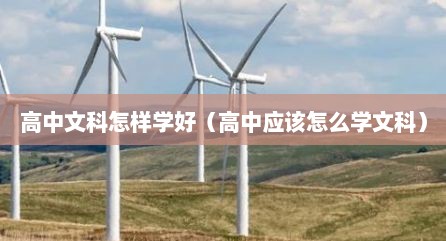 高中文科怎样学好（高中应该怎么学文科）