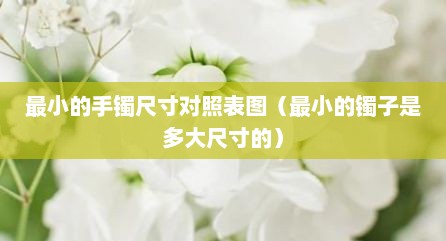 最小的手镯尺寸对照表图（最小的镯子是多大尺寸的）