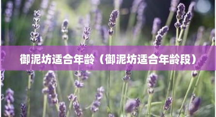 御泥坊适合年龄（御泥坊适合年龄段）
