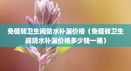 免砸砖卫生间防水补漏价格（免砸砖卫生间防水补漏价格多少钱一桶）