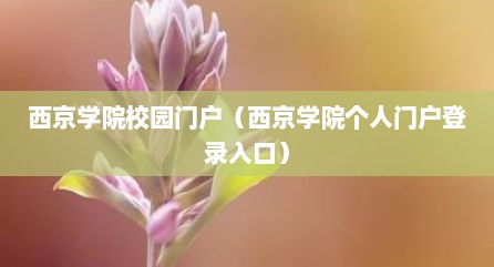 西京学院校园门户（西京学院个人门户登录入口）