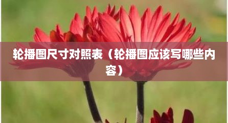 轮播图尺寸对照表（轮播图应该写哪些内容）