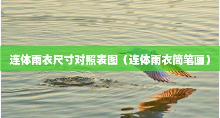 连体雨衣尺寸对照表图（连体雨衣简笔画）