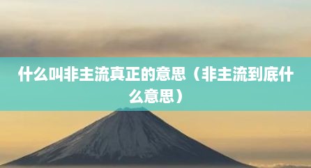 什么叫非主流真正的意思（非主流到底什么意思）