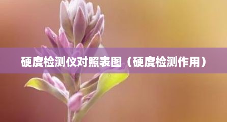 硬度检测仪对照表图（硬度检测作用）