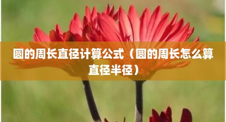 圆的周长直径计算公式（圆的周长怎么算直径半径）