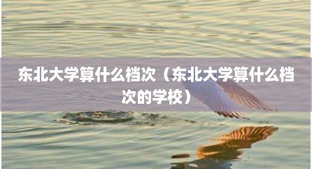 东北大学算什么档次（东北大学算什么档次的学校）