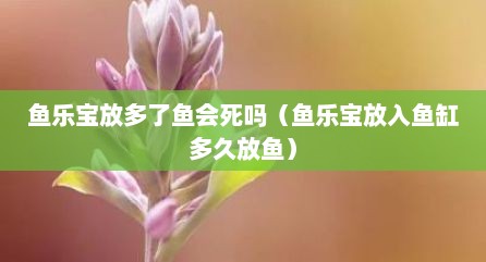 鱼乐宝放多了鱼会死吗（鱼乐宝放入鱼缸多久放鱼）
