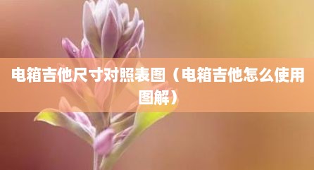 电箱吉他尺寸对照表图（电箱吉他怎么使用图解）