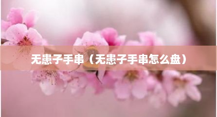 无患子手串（无患子手串怎么盘）