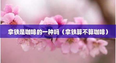拿铁是咖啡的一种吗（拿铁算不算咖啡）