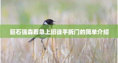 巨石强森着急上班徒手拆门的简单介绍