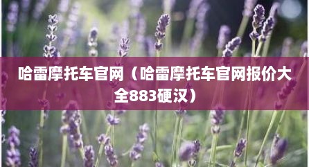 哈雷摩托车官网（哈雷摩托车官网报价大全883硬汉）