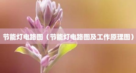 节能灯电路图（节能灯电路图及工作原理图）
