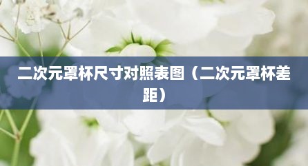 二次元罩杯尺寸对照表图（二次元罩杯差距）