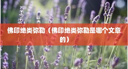 佛印绝类弥勒（佛印绝类弥勒是哪个文章的）