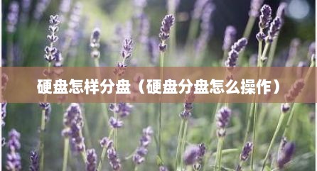 硬盘怎样分盘（硬盘分盘怎么操作）
