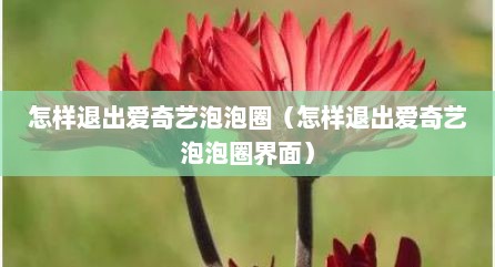 怎样退出爱奇艺泡泡圈（怎样退出爱奇艺泡泡圈界面）