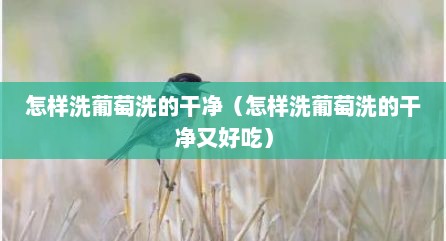 怎样洗葡萄洗的干净（怎样洗葡萄洗的干净又好吃）