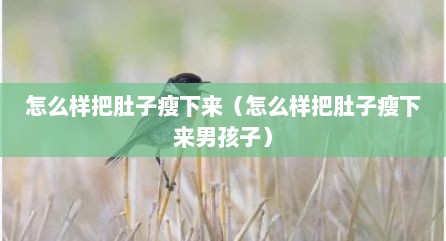 怎么样把肚子瘦下来（怎么样把肚子瘦下来男孩子）