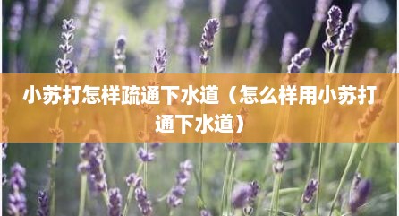 小苏打怎样疏通下水道（怎么样用小苏打通下水道）