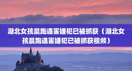 湖北女孩晨跑遇害嫌犯已被抓获（湖北女孩晨跑遇害嫌犯已被抓获视频）