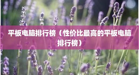 平板电脑排行榜（性价比最高的平板电脑排行榜）