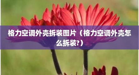 格力空调外壳拆装图片（格力空调外壳怎么拆装?）