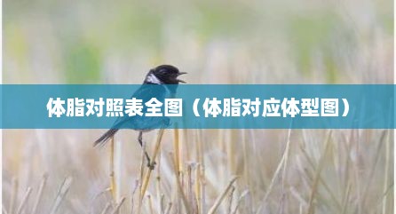 体脂对照表全图（体脂对应体型图）