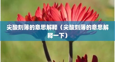 尖酸刻薄的意思解释（尖酸刻薄的意思解释一下）