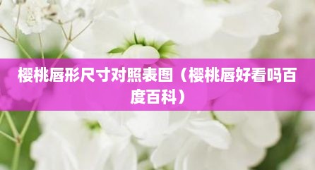 樱桃唇形尺寸对照表图（樱桃唇好看吗百度百科）