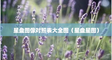 星盘图像对照表大全图（星盘星图）