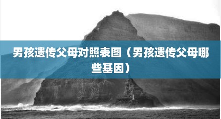 男孩遗传父母对照表图（男孩遗传父母哪些基因）