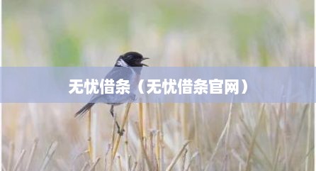 无忧借条（无忧借条官网）