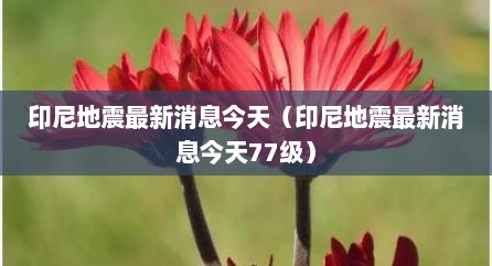 印尼地震最新消息今天（印尼地震最新消息今天77级）