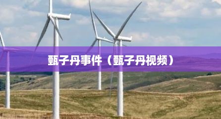甄子丹事件（甄子丹视频）