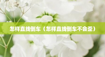怎样直线倒车（怎样直线倒车不会歪）
