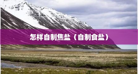 怎样自制焦盐（自制食盐）