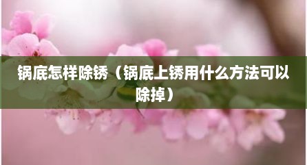 锅底怎样除锈（锅底上锈用什么方法可以除掉）