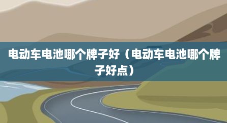 电动车电池哪个牌子好（电动车电池哪个牌子好点）
