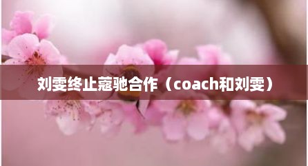 刘雯终止蔻驰合作（coach和刘雯）