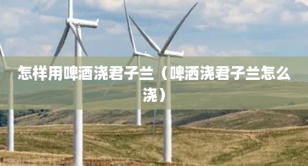怎样用啤酒浇君子兰（啤洒浇君子兰怎么浇）