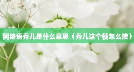 网络语秀儿是什么意思（秀儿这个梗怎么接）