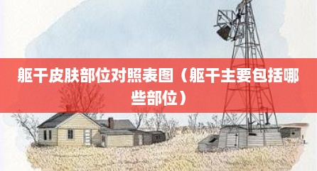 躯干皮肤部位对照表图（躯干主要包括哪些部位）