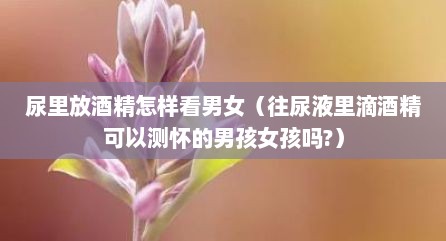 尿里放酒精怎样看男女（往尿液里滴酒精可以测怀的男孩女孩吗?）