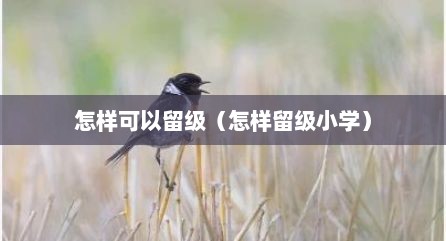 怎样可以留级（怎样留级小学）
